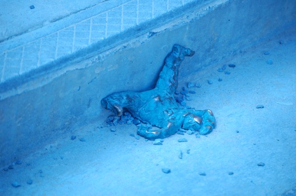 DSC_0138.JPG
