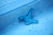 DSC_0138.JPG