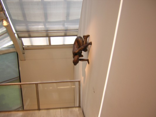 DSCN5614.JPG