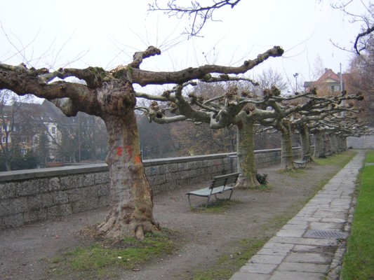 DSCN2578.JPG