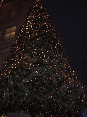 DSCN2595.JPG