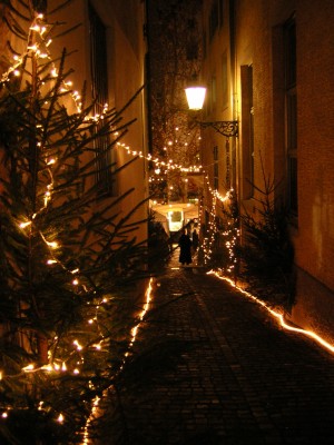 DSCN2608.JPG