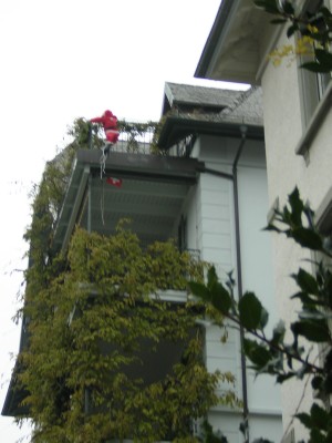 DSCN2627.jpg