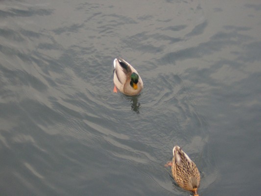 DSCN2636.JPG