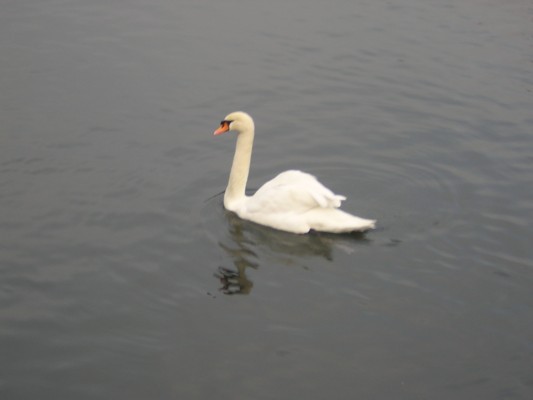 DSCN2637.JPG