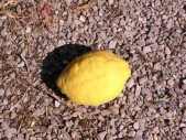 dscn3268.jpg